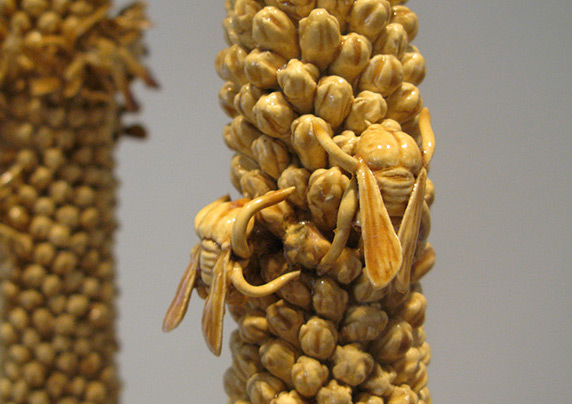 detail of Bees on Mullein